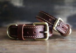 Personalized Leather Dog Collar - Red